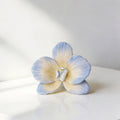 Flowerva Blue Orchid Chromatic Gradient Premium Decor