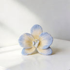 Flowerva Blue Orchid Chromatic Gradient Premium Decor